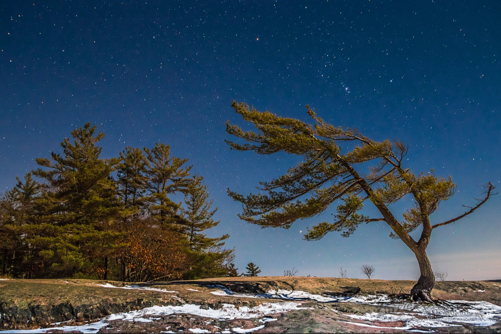 Orion over Killbear Provincial Park (credit: Wesley Liikane)